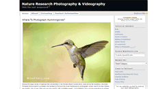 Desktop Screenshot of mikephoto.com